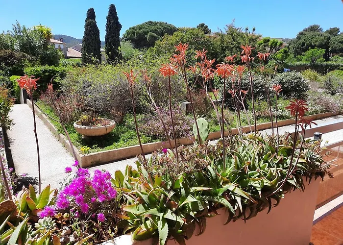 L'heure Bleue * 봄레미모사