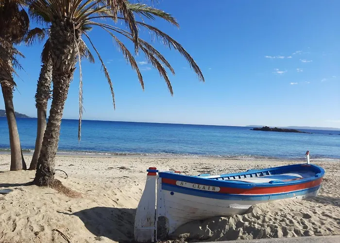 L'heure Bleue 봄레미모사