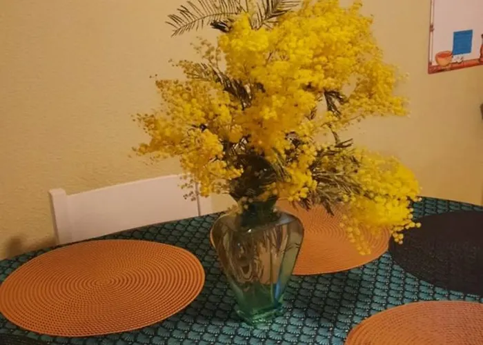 아파트 L'heure Bleue 봄레미모사